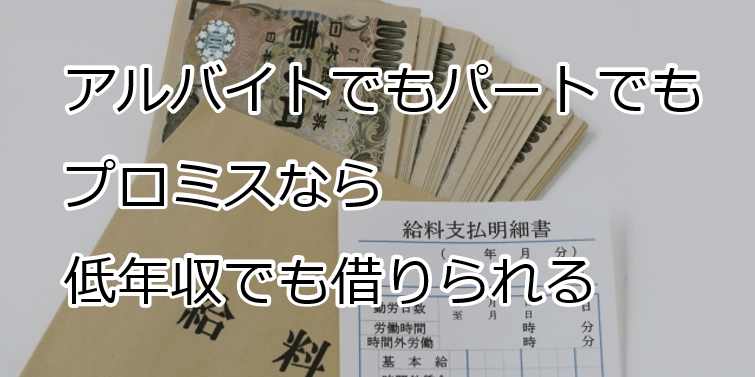 プロミスは年収100万円以下でも審査に通る 嘘はつかずに誠実に申し込もう すごいカード